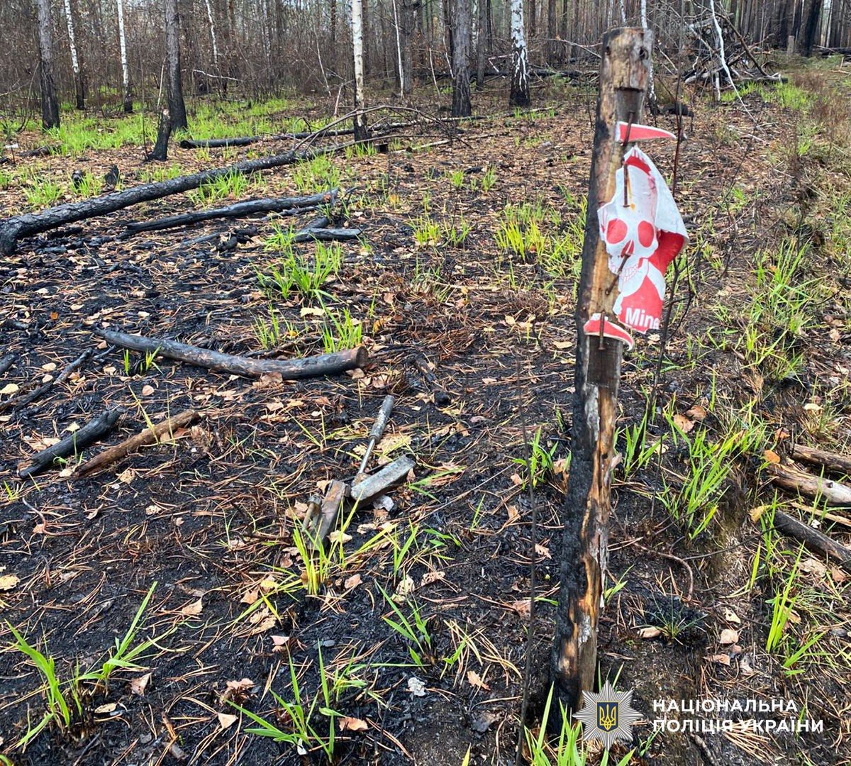 wiadomości,aktualności,WP Wiadomości Ukraina. Eksplozje przy granicy z Białorusią. Nie żyje pięć osób