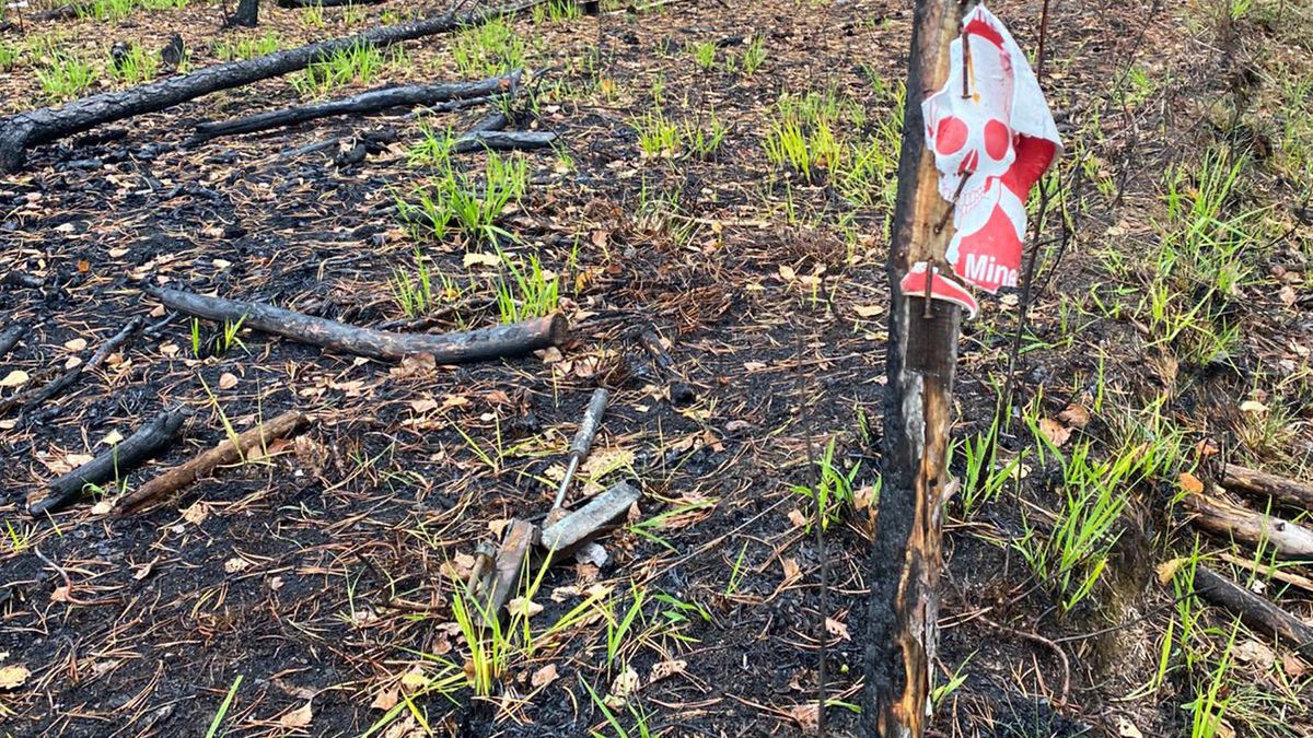 Ukraina. Eksplozje przy granicy z Białorusią. Nie żyje pięć osób