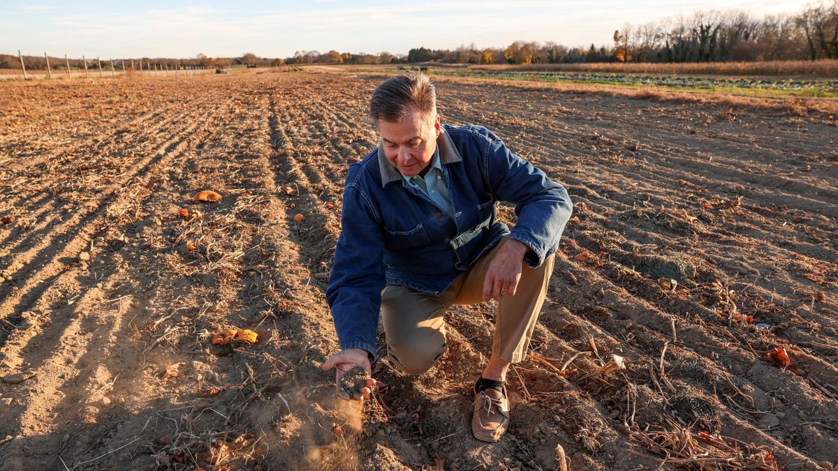 Brak śniegu to poważny problem dla rolników.