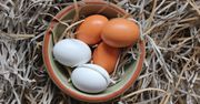 Trik, dzięki któremu jajko obierzesz w kilka sekund. Mało kto go zna