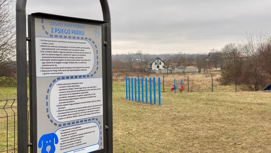 Bytom. Wybieg dla psów to pierwszy zrealizowany projekt z "6 dla Stroszka".