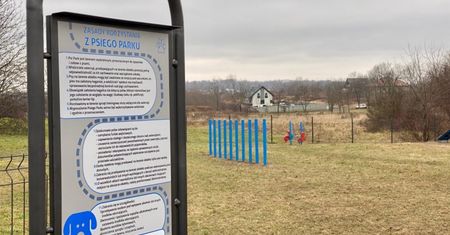 Bytom. Pierwszy projekt zrealizowany. Czworonogi mają swój plac