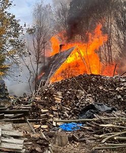 Uratowali psa z łańcucha. Obok szalał pożar