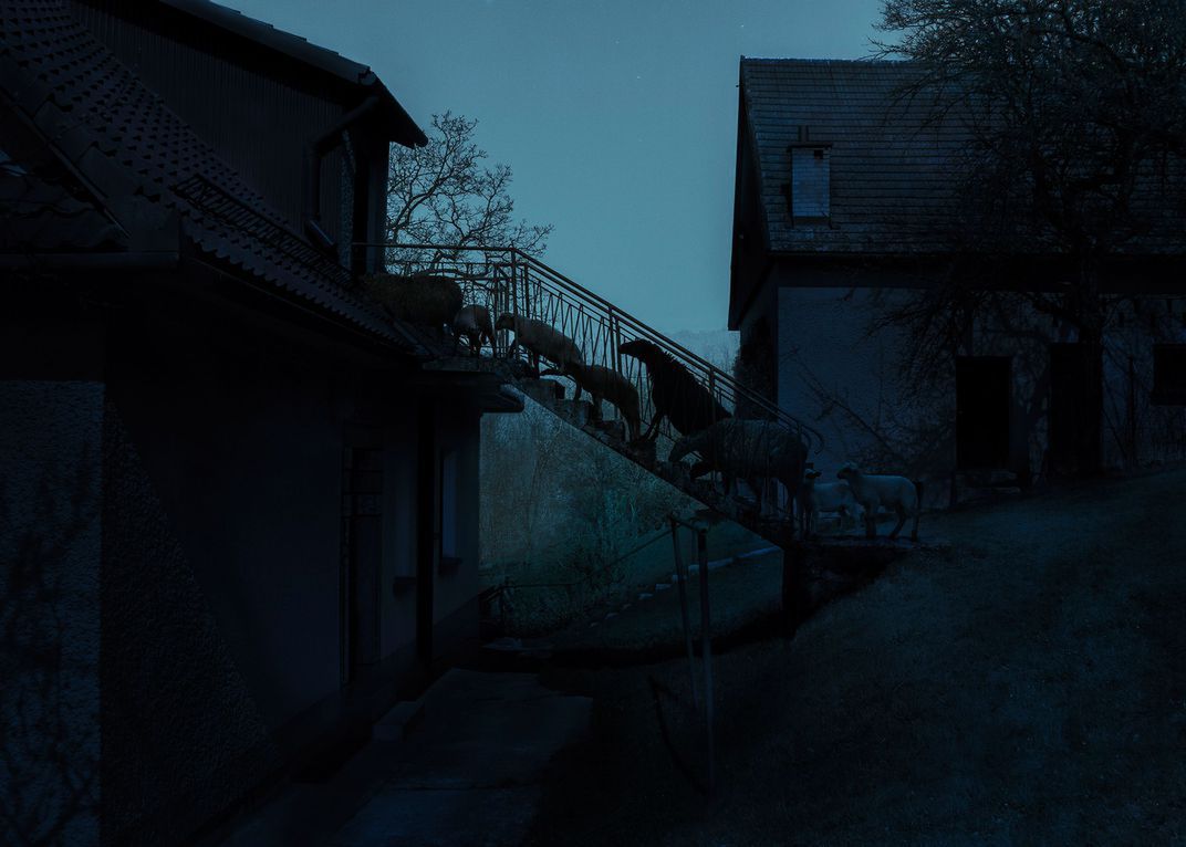 Adam Żądło wśród laureatów Smithsonian Photo Contest 2017 3