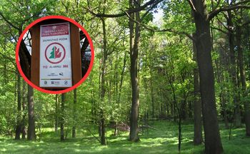 Majówka bez wizyty w lesie? MSWiA uspokaja