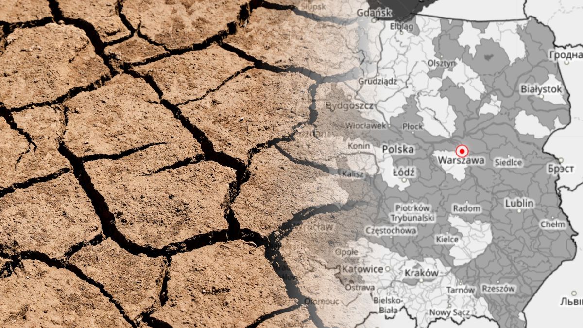 Susza hydrogeologiczna postępuje. Są ostrzeżenia