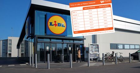 Koszyk WP Finanse w Lidlu. Porównaliśmy ceny w Polsce i Holandii