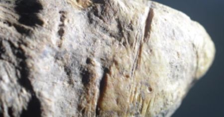 Wcześniej niż sądzono. To zmienia dotychczasowe rozumienie prehistorii