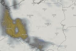 Pogoda. Mglisty poranek i pochmurny dzień