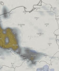 Pogoda. Mglisty poranek i pochmurny dzień