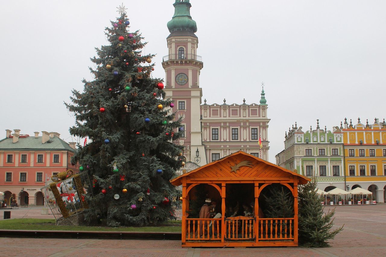 Zamość: Na Rynku Wielkim stanęła świąteczna szopka