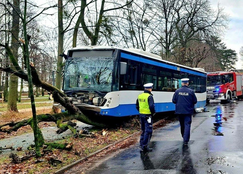 Autobus wjechał w drzewo