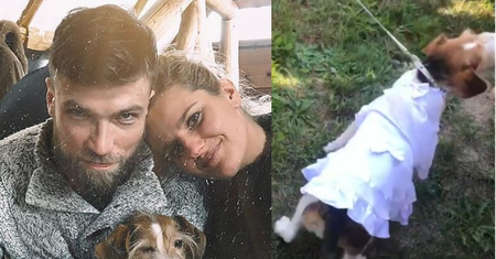 Suczka Zofii Zborowskiej miała... WŁASNĄ SUKNIĘ na ślubie swojej pani! Stylowa? (FOTO)