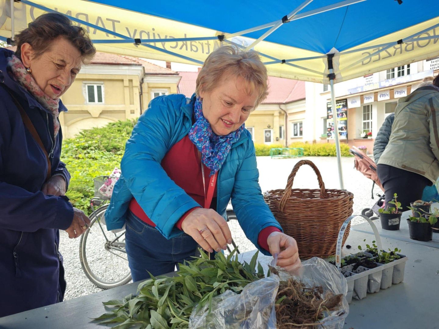 Kwiatowymiana w Tarnobrzegu, 17 maja 2025