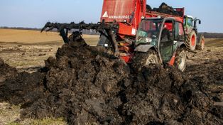 Obornik na celowniku. 1 stycznia kary dla rolników idą w górę