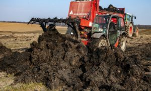 Obornik na celowniku. Kary dla rolników pójdą w górę