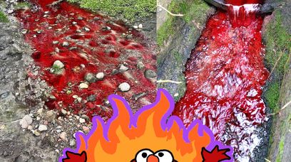 Augustówka wygląda jak rzeka krwi z horroru. Co się stało w Łodzi?