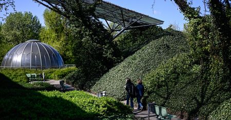 Piszą o Warszawie. Ten ogród zachwycił Brytyjczyków