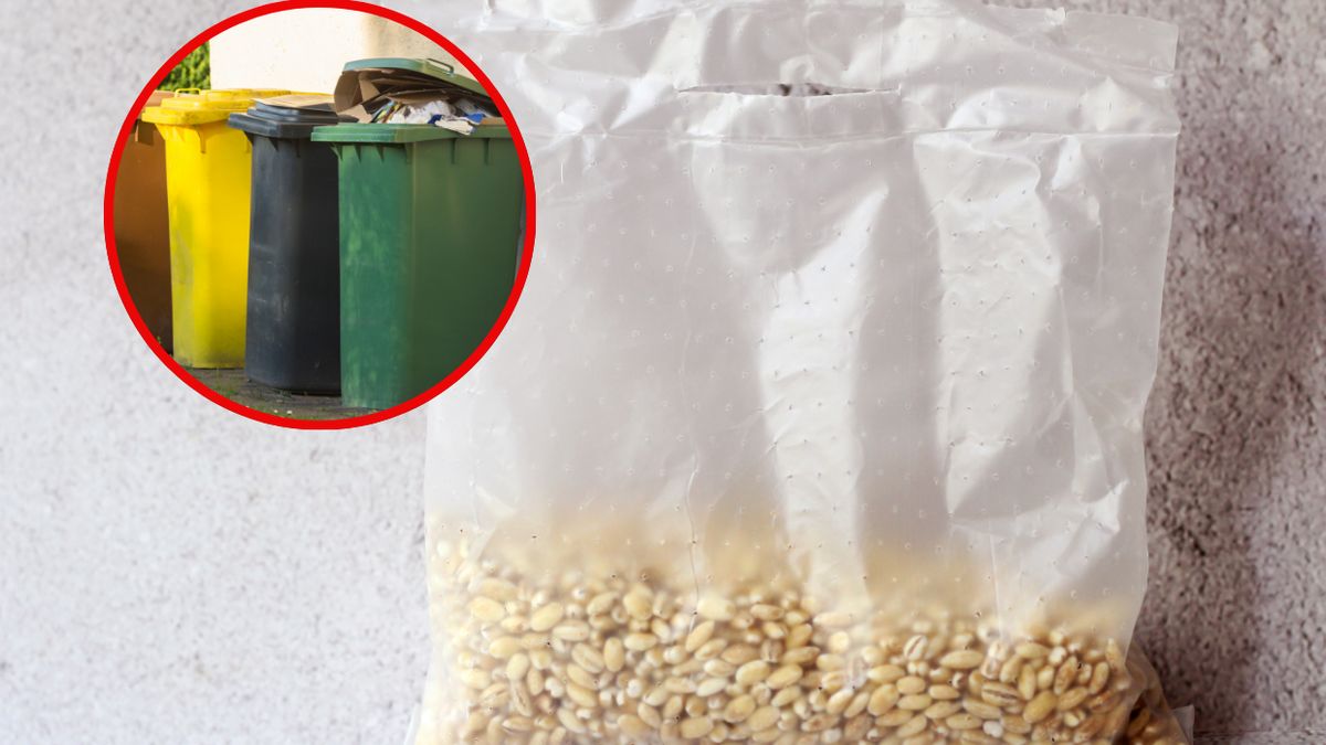 Gdzie wyrzucić woreczek po ugotowanej kaszy?