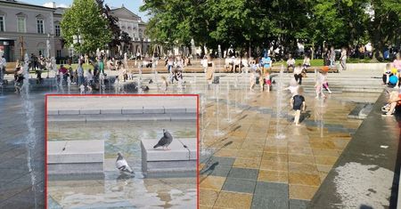 Zrobiło się ciepło, dzieci szukają ochłody w fontannach na pl. Litewskim. Kąpią się tam też gołębie i… bezdomni