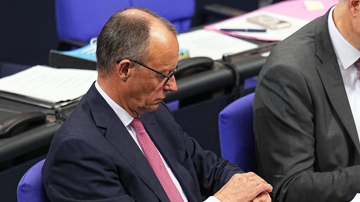 Friedrich Merz, kandydat