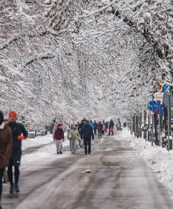 Tak będzie wyglądać nadchodząca zima. Nie zabraknie silnego mrozu