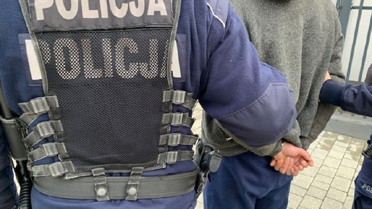 Aż 8 psów zginęło w okrutny sposób.