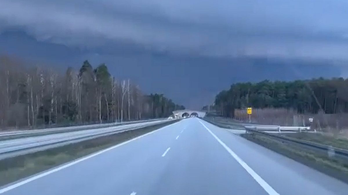 Jechał samochodem i zobaczył to. Nagranie z Zielonej Góry