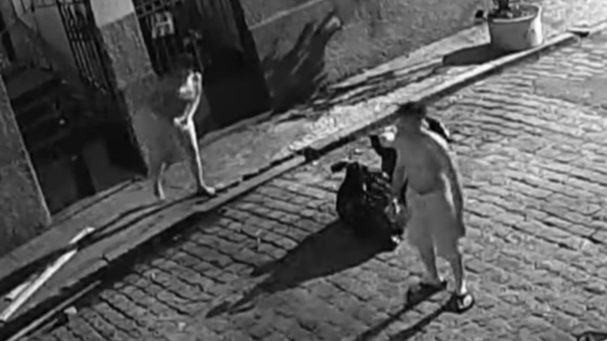 Rodzice wyrzucili ciało dziecka do śmieci