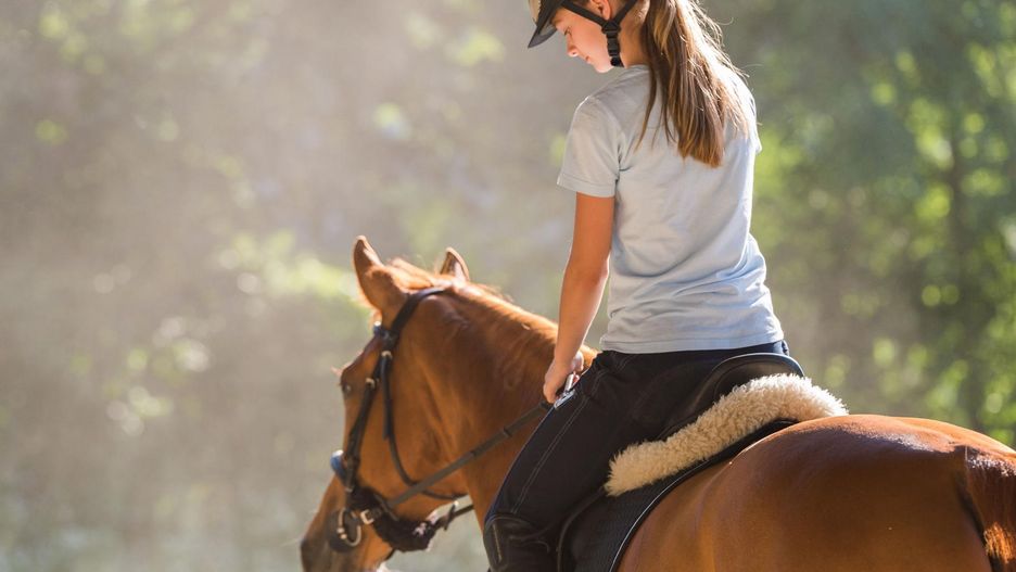 Jazda konna wpływa na intelekt