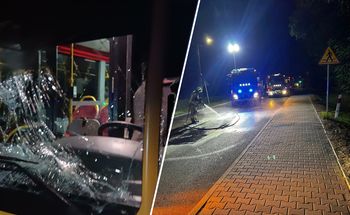 Autobus i auto zderzyły się z jeleniem. Zwierzę nie przeżyło