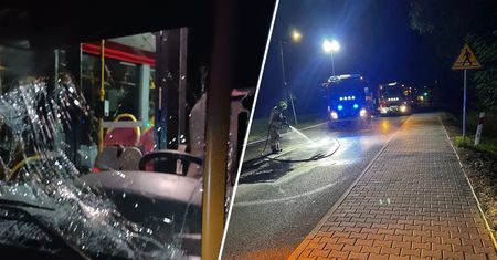 Autobus i auto zderzyły się z jeleniem. Zwierzę nie przeżyło