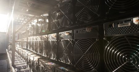 Nielegalna kopalnia kryptowalut na Syberii. Górnicy ukarani grzywną
