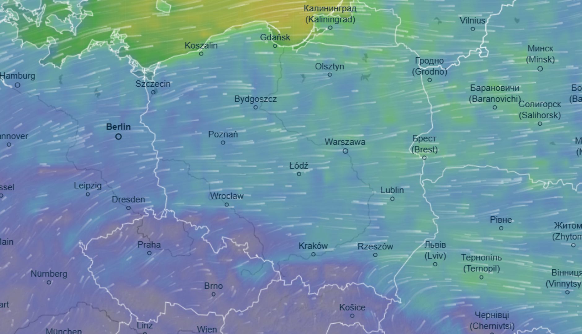 Tylko nie to! Koszmarne wieści z IMGW. Prognoza pogody na 1 listopada