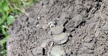 "Rozwalił system". Odkrycie wywołało ogromne poruszenie