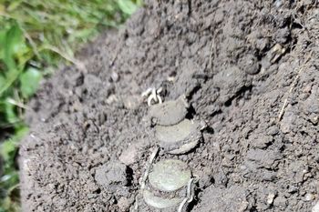 "Rozwalił system". Odkrycie wywołało ogromne poruszenie