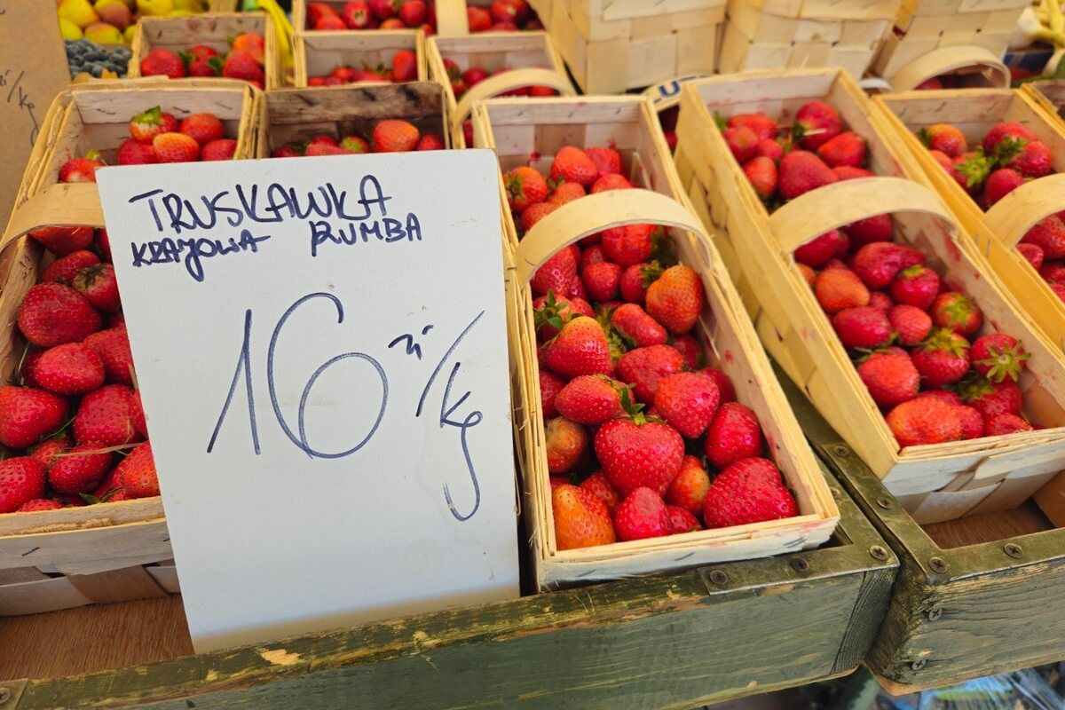 Truskawki po 16 zł/kg