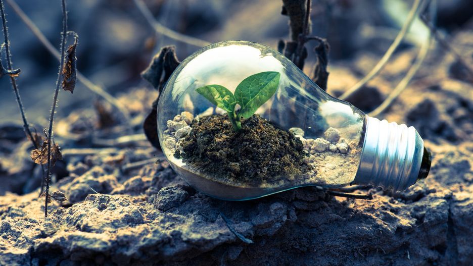 Zeroemisyjność, czyli zaprzestanie emitowania CO2 do atmosfery, to jeden z najważniejszych współczesnych tematów poruszanych przez ekspertów z dziedziny ekologii.