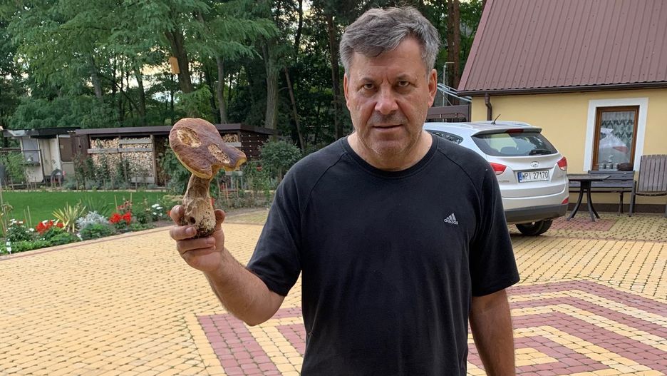 Janusz Piechociński chwali się grzybobraniem