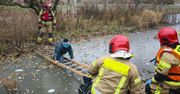 Olsztyn: O krok od tragedii. 10-latek wszedł na kruchy lód, który zaczął pękać