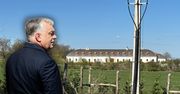 Biedny premier, obrzydliwie bogata rodzina. Gdzie ukryty jest majątek Viktora Orbána?
