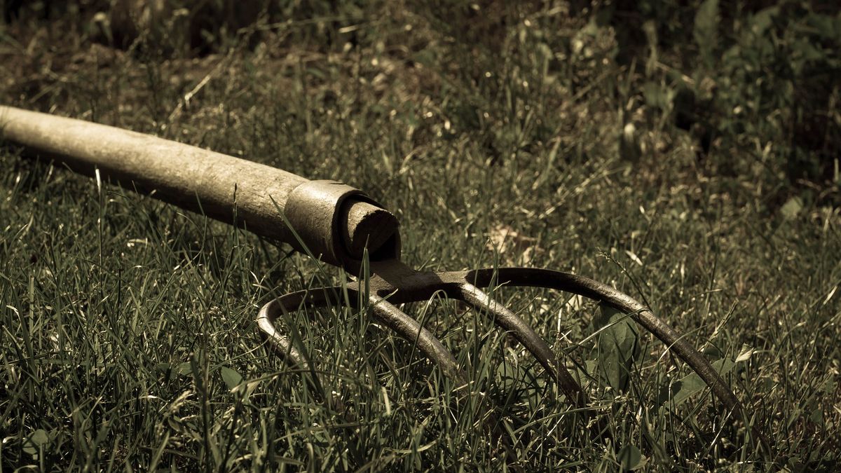 Dramat w miejscowości Równia