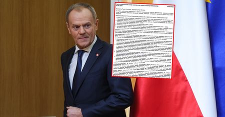 Kryzys branży turystycznej z Puszczy Białowieskiej. Przedsiębiorcy apelują do premiera