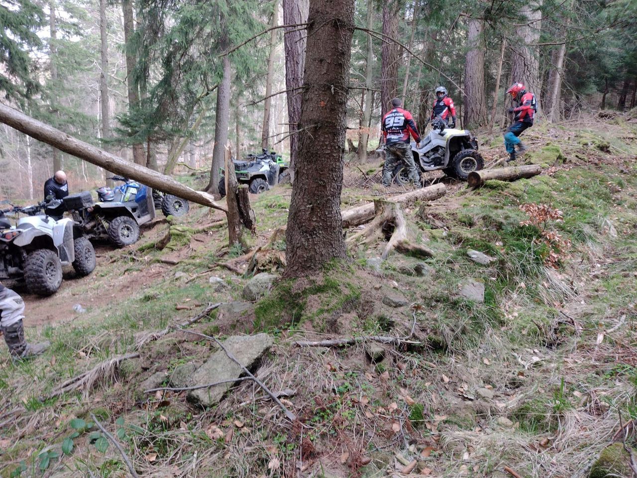 Plaga polskich lasów. Straż tropiła ich przez 30 kilometrów