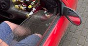 Powiat poznański: Dwunastu nietrzeźwych kierowców w jeden weekend