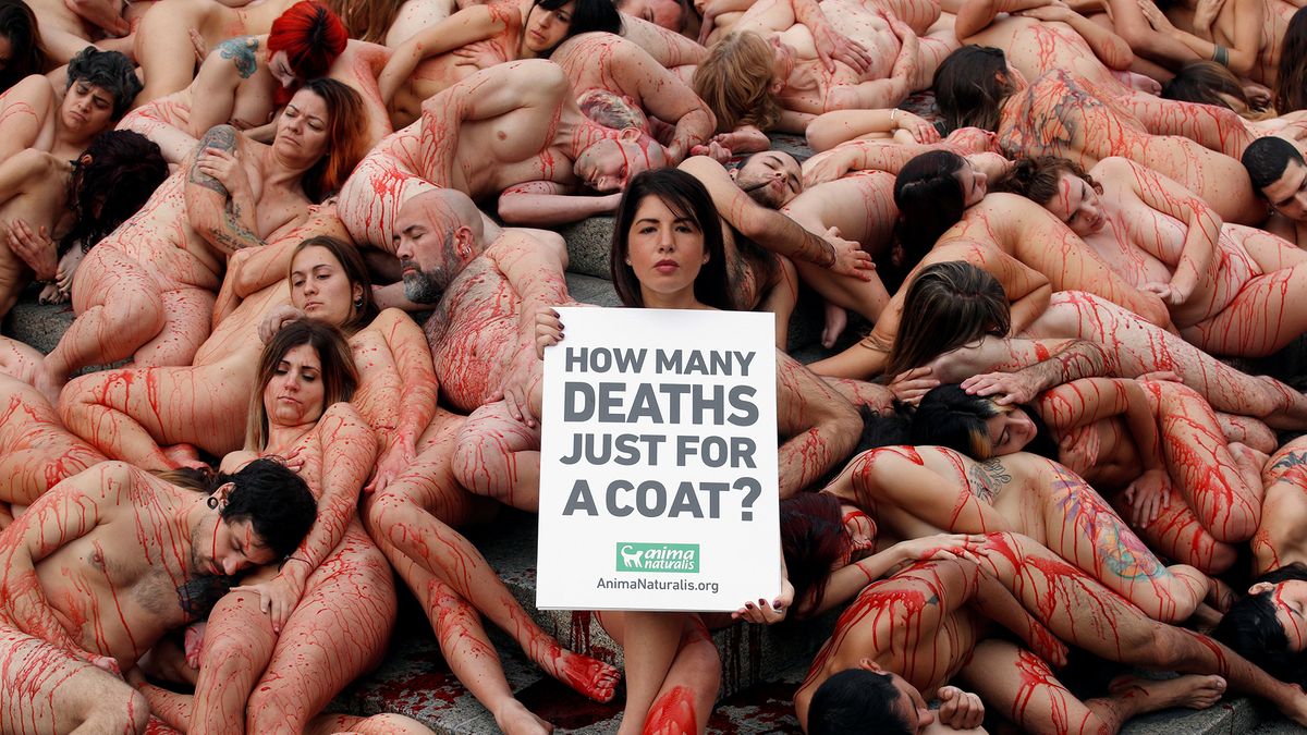 Rozebrali się i oblali sztuczną krwią w obronie zwierząt. Zdjęcia dają do myślenia 1