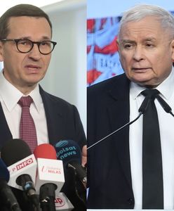 Morawiecki zastąpi Kaczyńskiego? Polacy zabrali głos