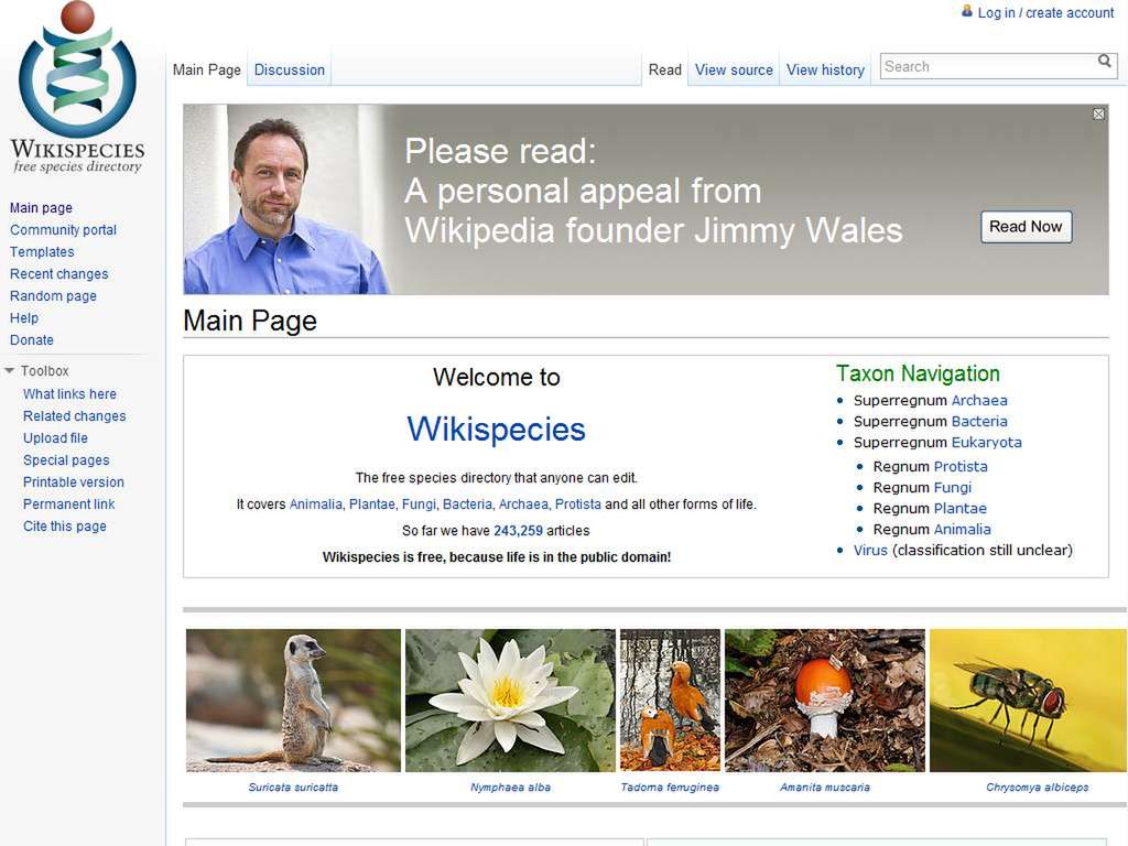 Wikispecies