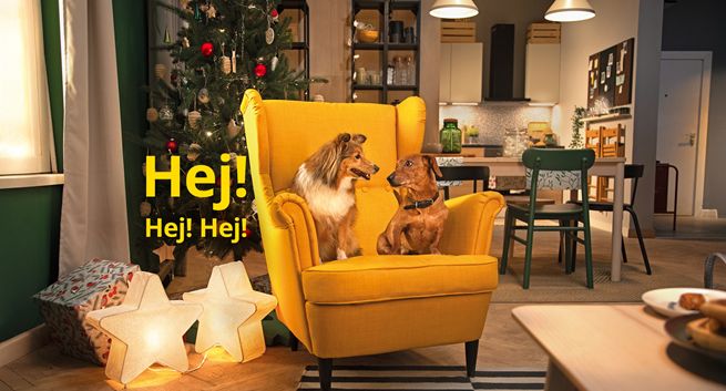 Jamnik bohaterem świątecznego spotu IKEA