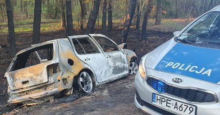 Prawda o pożarach elektryków. Pokazali konkretne liczby